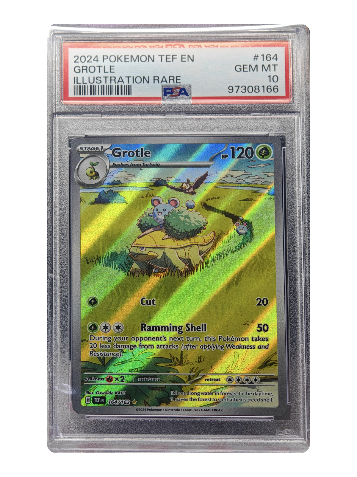 Grotle 164/162 — Temporal Forces (TEF) | PSA 10 | English | Illustration Rare